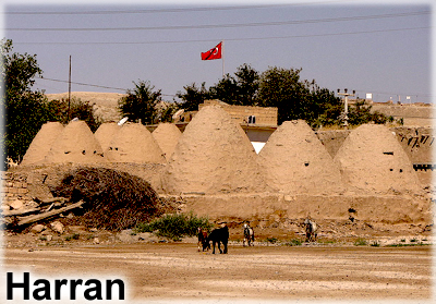 harran tours